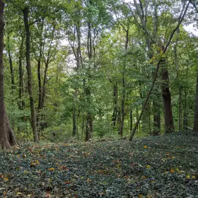 Trail View State Park - Woodbury, NY