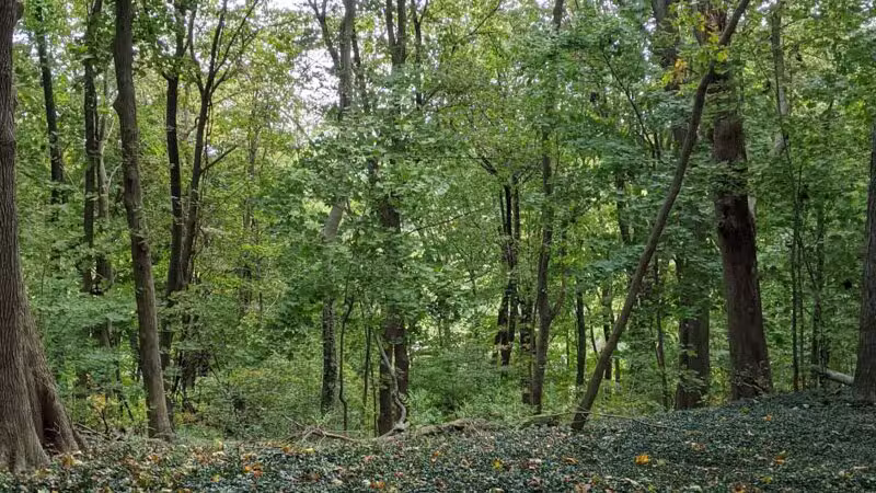Trail View State Park - Woodbury, NY