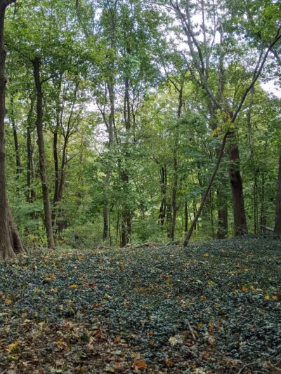 Trail View State Park - Woodbury, NY