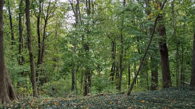 Trail View State Park - Woodbury, NY