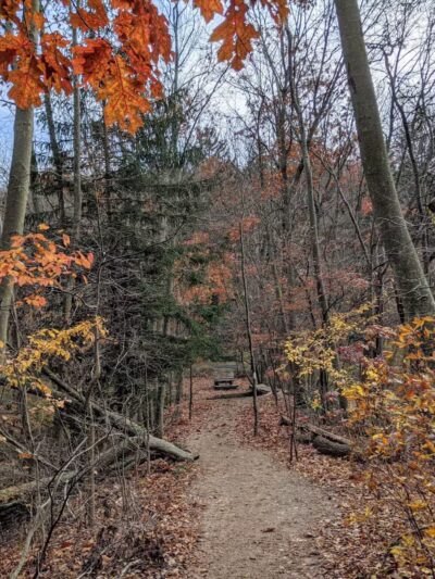 Trail View State Park - Woodbury, NY