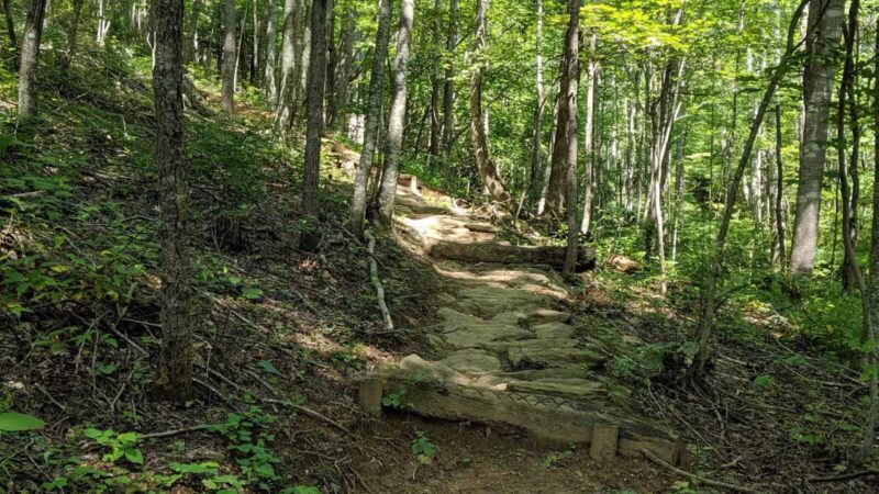 IC DeHart Memorial Park - Woolwine, VA