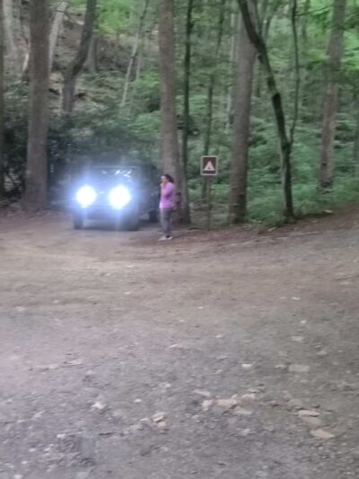Rock Castle Gorge, East Trailhead - Woolwine, VA