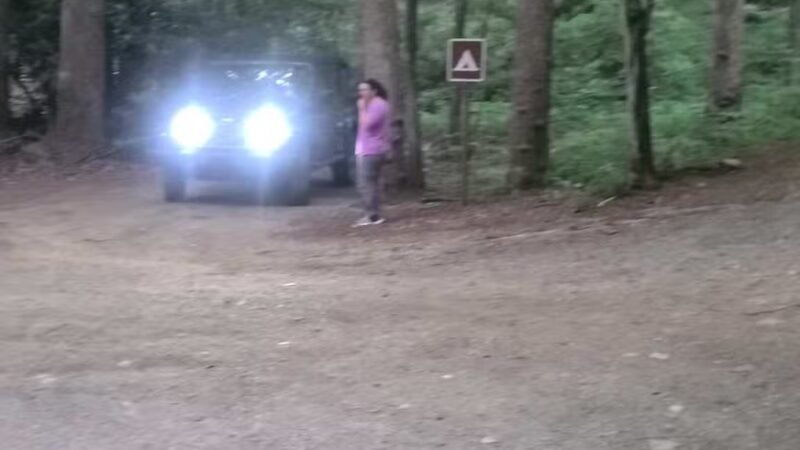 Rock Castle Gorge, East Trailhead - Woolwine, VA