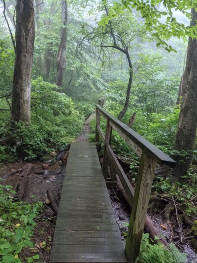 Rock Castle Gorge, East Trailhead - Woolwine, VA