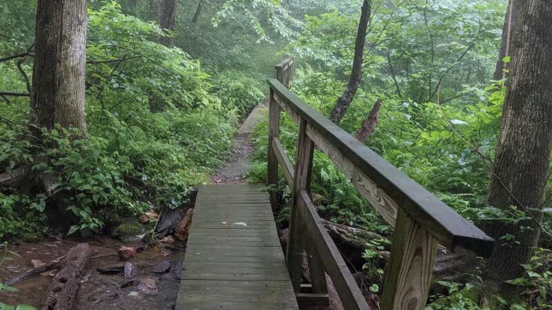 Rock Castle Gorge, East Trailhead - Woolwine, VA