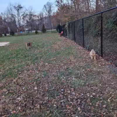 Lower Makefield Township Dog Park (Members Only) - Yardley, PA