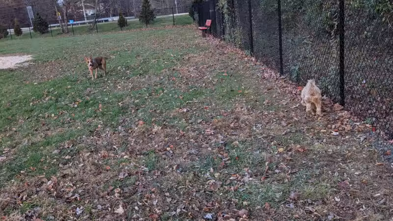 Lower Makefield Township Dog Park (Members Only) - Yardley, PA