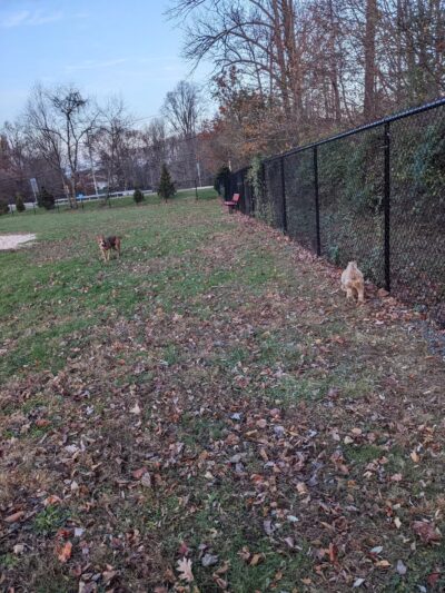 Lower Makefield Township Dog Park (Members Only) - Yardley, PA