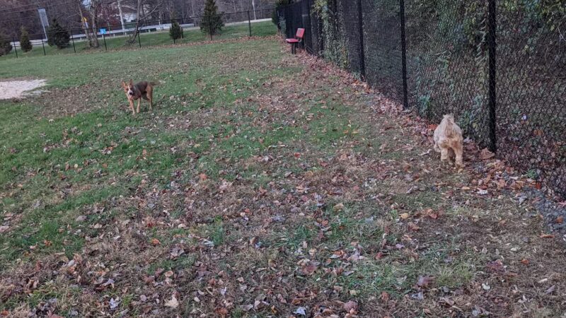 Lower Makefield Township Dog Park (Members Only) - Yardley, PA