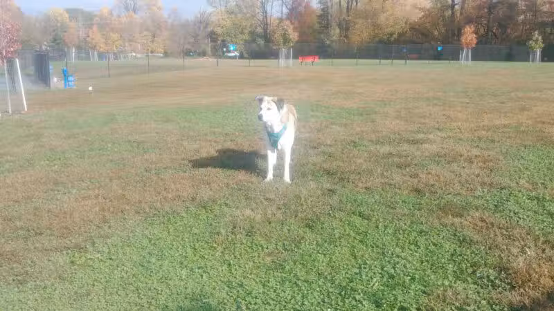 Lower Makefield Township Dog Park (Members Only) - Yardley, PA