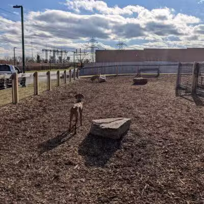 Ridge Hill Dog Park - Yonkers, NY