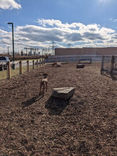 Ridge Hill Dog Park - Yonkers, NY