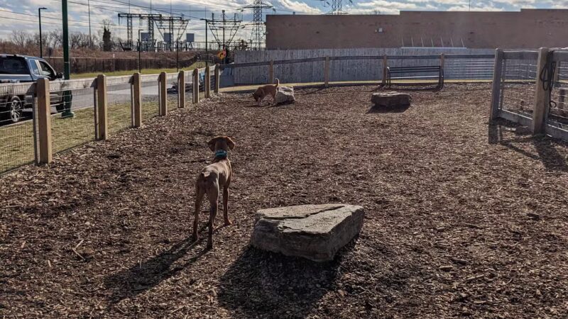 Ridge Hill Dog Park - Yonkers, NY