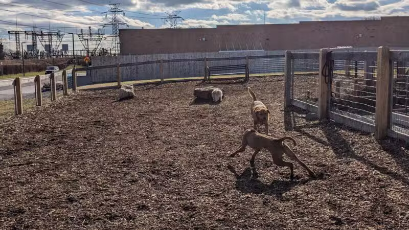 Ridge Hill Dog Park - Yonkers, NY