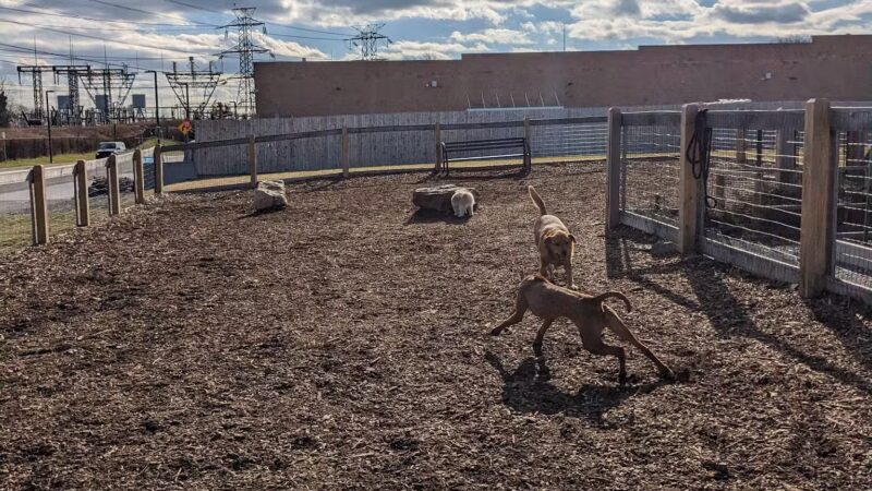 Ridge Hill Dog Park - Yonkers, NY
