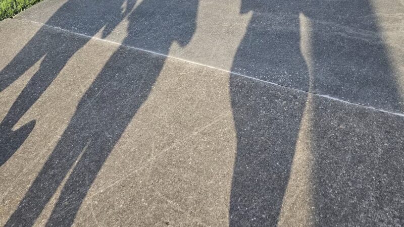 Raising Cane's Dog Park at Zachary Community Park - Zachary, LA