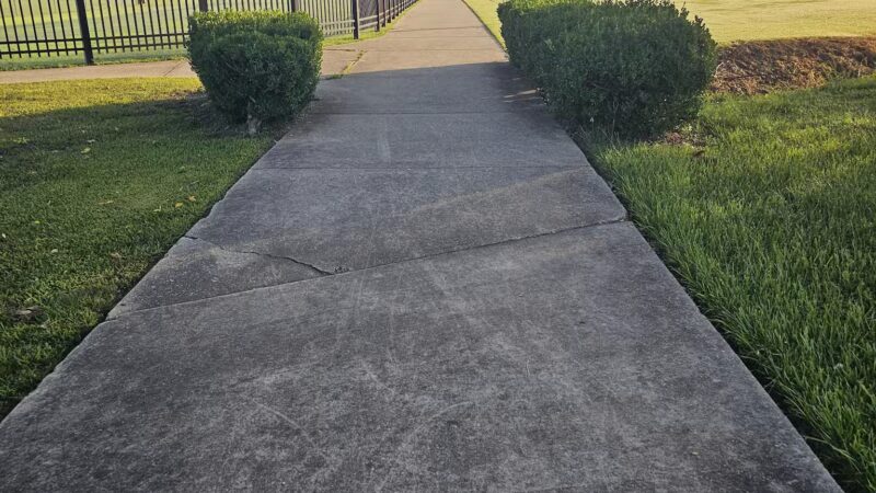Raising Cane's Dog Park at Zachary Community Park - Zachary, LA