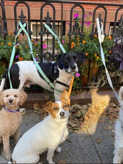 A Walk In The Park BK - ,