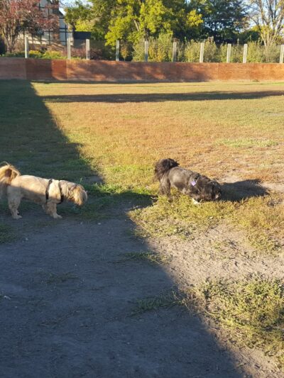 Manor Park - Aberdeen, SD