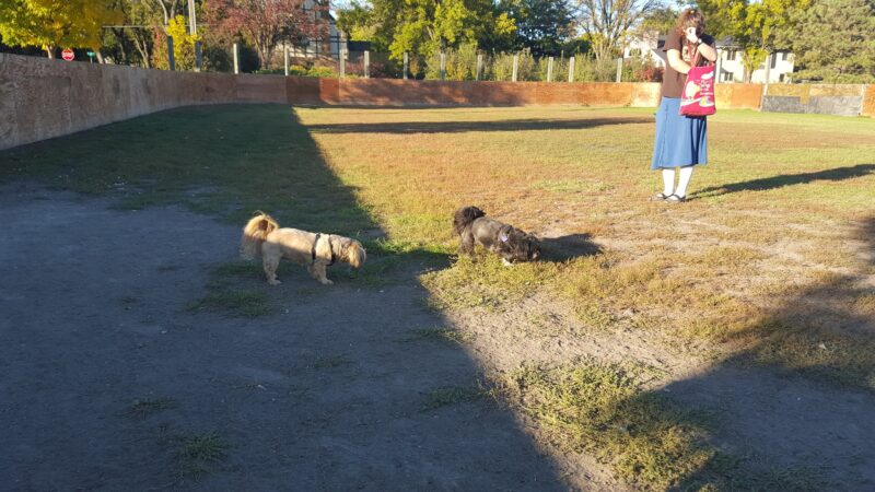 Manor Park - Aberdeen, SD