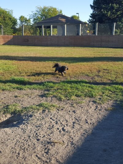 Manor Park - Aberdeen, SD