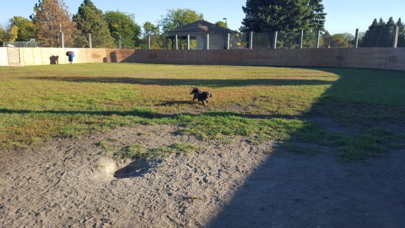 Manor Park - Aberdeen, SD