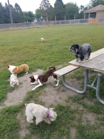 Manor Park - Aberdeen, SD