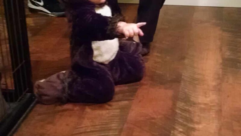 Fordham Park - Aberdeen Township, NJ