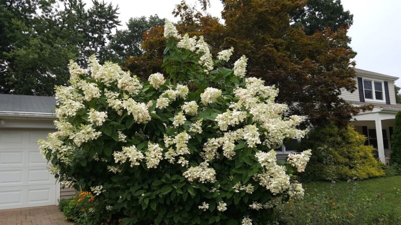 Fordham Park - Aberdeen Township, NJ