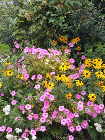 Fordham Park - Aberdeen Township, NJ