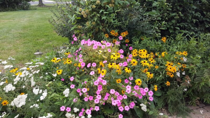 Fordham Park - Aberdeen Township, NJ
