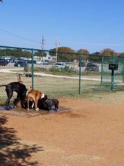 Camp Barkeley Dog Park - Abilene, TX