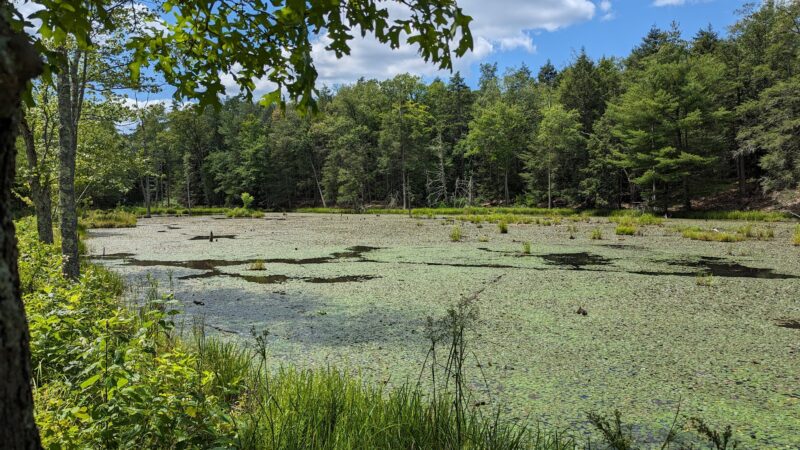 O&W Rail Trail - Accord, NY