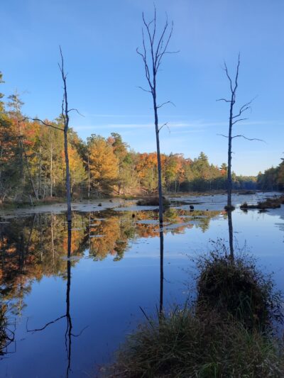 O&W Rail Trail - Accord, NY