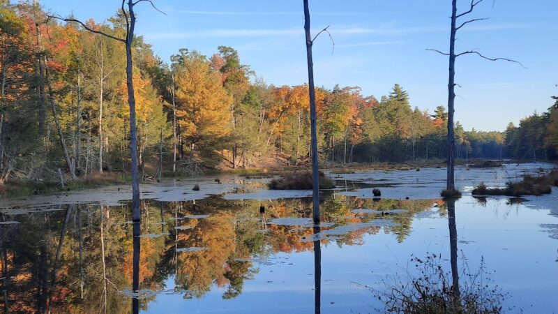O&W Rail Trail - Accord, NY