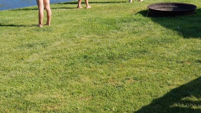 Crazy Acres - Ackley, IA