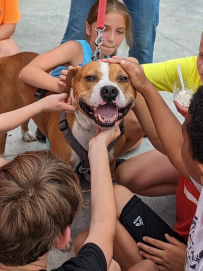 Grammy Rose Dog Rescue & Sanctuary - Acton, ME