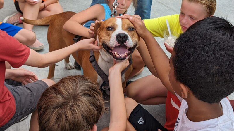 Grammy Rose Dog Rescue & Sanctuary - Acton, ME