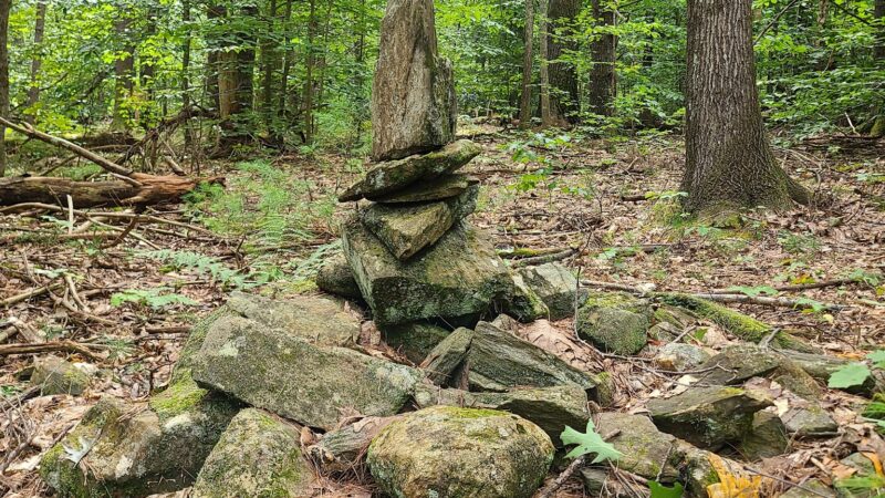Mary Grant Preserve - Acton, ME