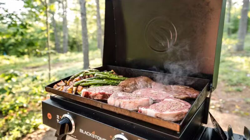 Pine Ridge Campground - Acton, ME