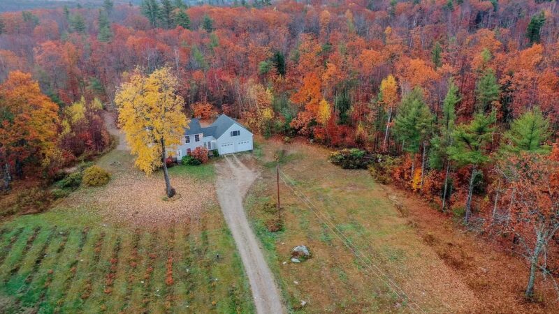 Serenity Farm and Woods - Acton, ME