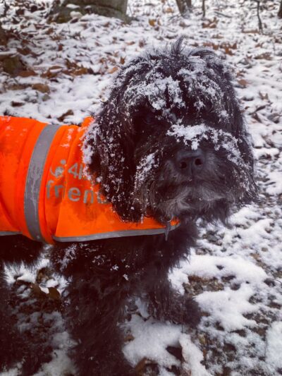 Serenity Farm and Woods - Acton, ME