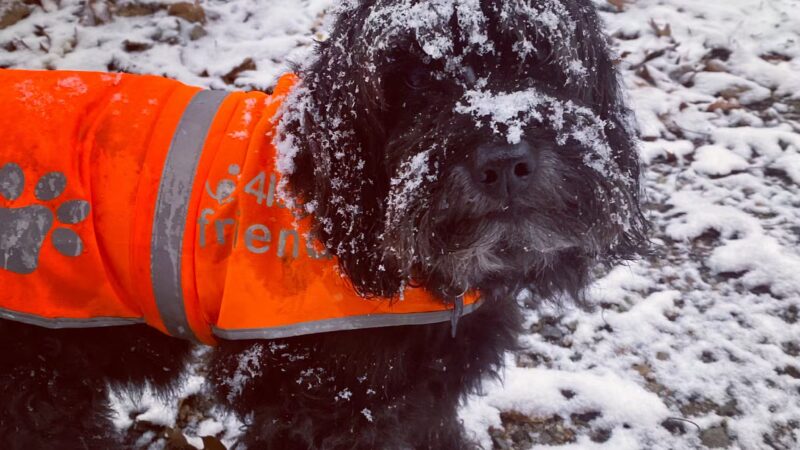 Serenity Farm and Woods - Acton, ME