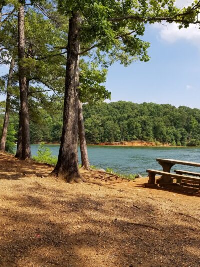 Red Top Mountain State Park - Acworth, GA