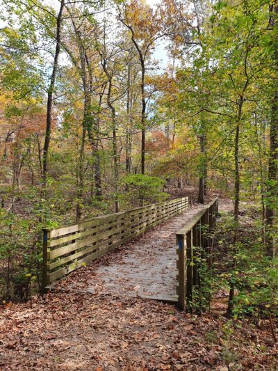 Red Top Mountain State Park - Acworth, GA