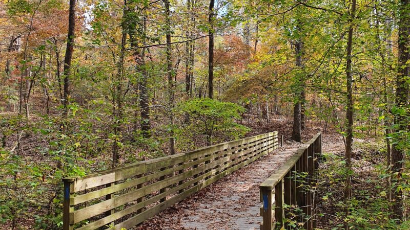 Red Top Mountain State Park - Acworth, GA