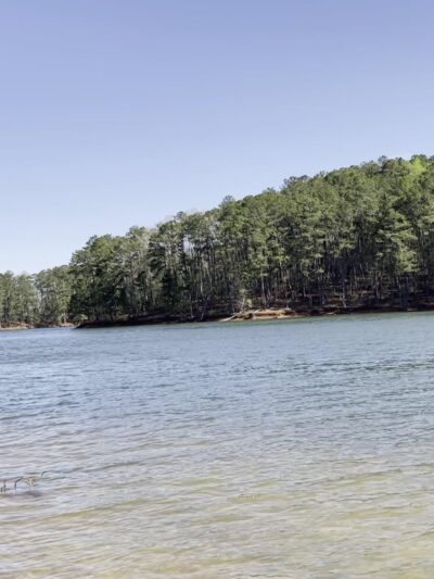 Red Top Mountain State Park - Acworth, GA