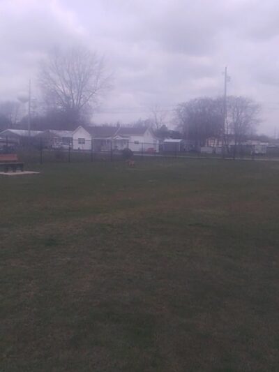 Ada Dog park - Ada, OH