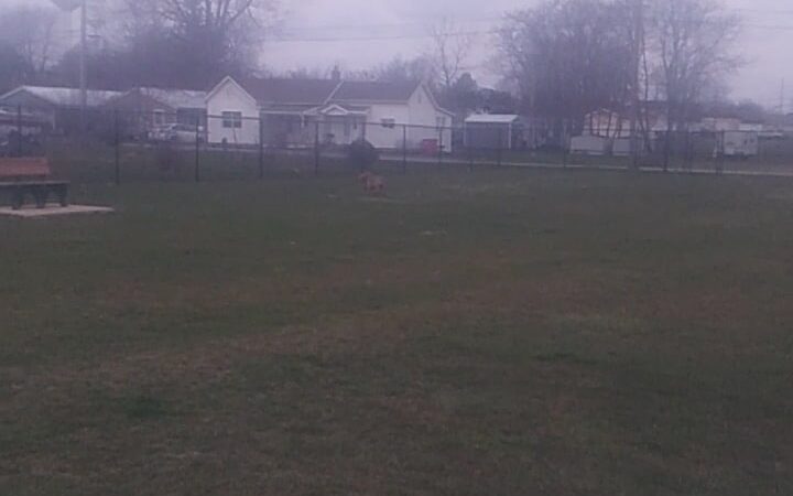 Ada Dog park - Ada, OH